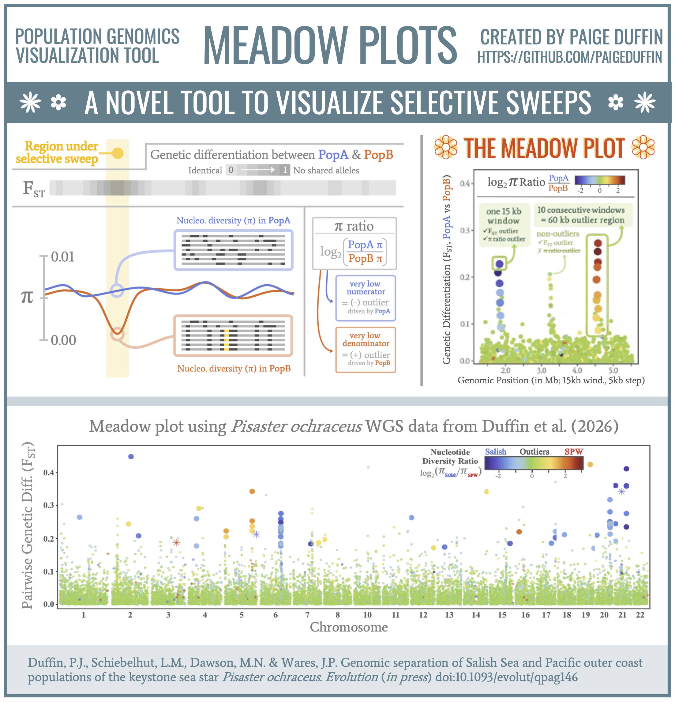 Infographic overview of meadow plot rationale and example plots.